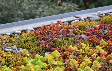 the cost of Queensway green roof installation