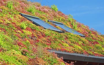 Queensway living roof systems