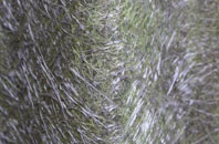 Queensway fibreglass roof work